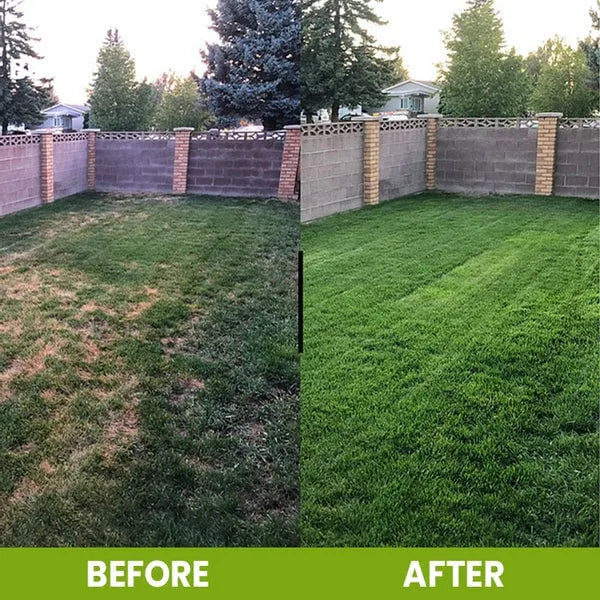 Soil Activated Treasure Premium Soil Activator 200gram (Pack of 2)