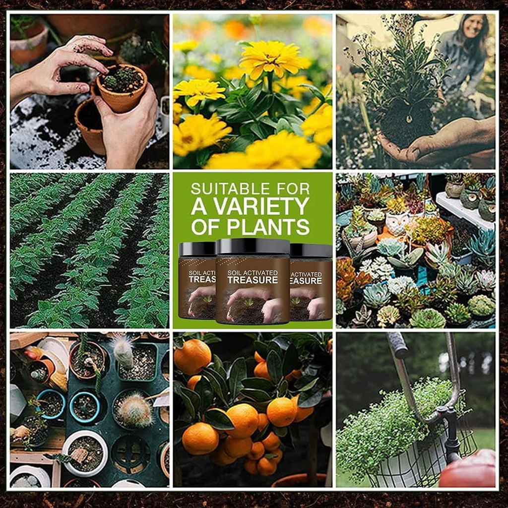 Soil Activated Treasure Premium Soil Activator 200gram (Pack of 2)